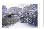 Snow at Bow Bridge in Central Park by Anonymous