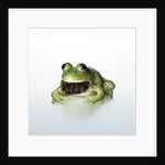 Frog Wearing Beard by Anonymous