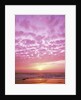 Pink Sunset Over Heceta Beach by Anonymous