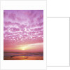 Pink Sunset Over Heceta Beach by Anonymous
