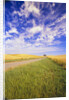 Wispy Clouds Floating over Farm Fields by Anonymous