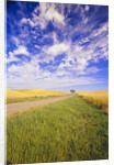 Wispy Clouds Floating over Farm Fields by Anonymous