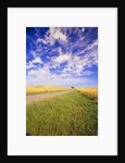 Wispy Clouds Floating over Farm Fields by Anonymous