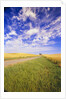 Wispy Clouds Floating over Farm Fields by Anonymous