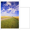 Wispy Clouds Floating over Farm Fields by Anonymous