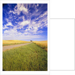 Wispy Clouds Floating over Farm Fields by Anonymous