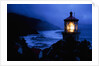 Lighthouse Protecting Misty Coastline by Anonymous