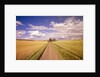 Dirt Road Stretching Through Fields by Anonymous