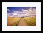 Dirt Road Stretching Through Fields by Anonymous