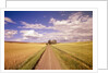 Dirt Road Stretching Through Fields by Anonymous