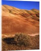 Oregon's Painted Hills by Anonymous