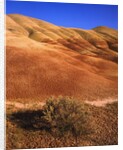Oregon's Painted Hills by Anonymous