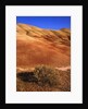 Oregon's Painted Hills by Anonymous