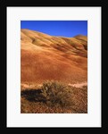 Oregon's Painted Hills by Anonymous