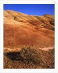 Oregon's Painted Hills by Anonymous
