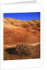 Oregon's Painted Hills by Anonymous