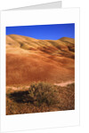 Oregon's Painted Hills by Anonymous