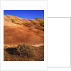Oregon's Painted Hills by Anonymous
