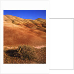 Oregon's Painted Hills by Anonymous