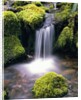 Mossy Rocks and Creek Waterfall by Anonymous