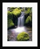 Mossy Rocks and Creek Waterfall by Anonymous