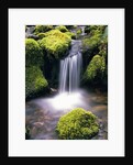 Mossy Rocks and Creek Waterfall by Anonymous