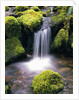 Mossy Rocks and Creek Waterfall by Anonymous