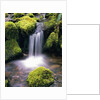 Mossy Rocks and Creek Waterfall by Anonymous