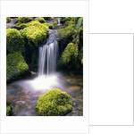 Mossy Rocks and Creek Waterfall by Anonymous