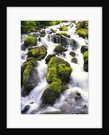 Mossy Rocks in Rushing Stream by Anonymous