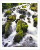 Mossy Rocks in Rushing Stream by Anonymous