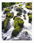 Mossy Rocks in Rushing Stream by Anonymous