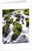 Mossy Rocks in Rushing Stream by Anonymous