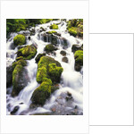 Mossy Rocks in Rushing Stream by Anonymous