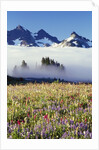 Flower Field Before Foggy Mountains by Anonymous