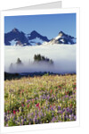 Flower Field Before Foggy Mountains by Anonymous