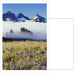 Flower Field Before Foggy Mountains by Anonymous