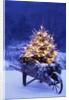 Lighted Christmas Tree in Wheelbarrow by Anonymous