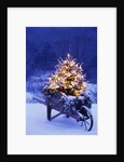 Lighted Christmas Tree in Wheelbarrow by Anonymous