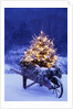 Lighted Christmas Tree in Wheelbarrow by Anonymous