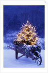 Lighted Christmas Tree in Wheelbarrow by Anonymous