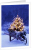 Lighted Christmas Tree in Wheelbarrow by Anonymous