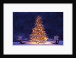 Snow Covering Adirondack Chairs by Lit Christmas Tree by Anonymous