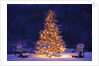 Snow Covering Adirondack Chairs by Lit Christmas Tree by Anonymous