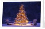 Snow Covering Adirondack Chairs by Lit Christmas Tree by Anonymous