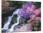 Waterfall in Crystal Springs Garden by Anonymous