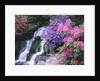 Waterfall in Crystal Springs Garden by Anonymous