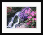 Waterfall in Crystal Springs Garden by Anonymous