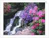 Waterfall in Crystal Springs Garden by Anonymous