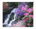 Waterfall in Crystal Springs Garden by Anonymous